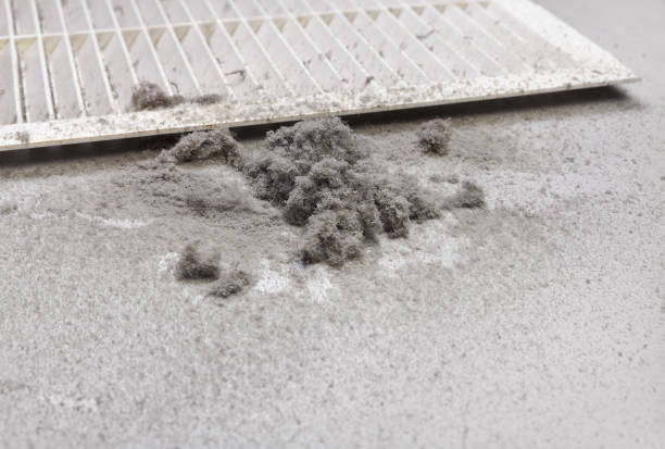 Best Local Air Duct Cleaning Services  in Dexter, MI