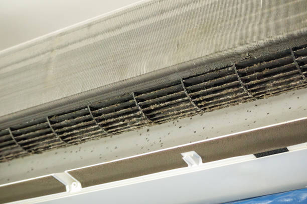 Best Best Air Duct Cleaning Company  in Dexter, MI