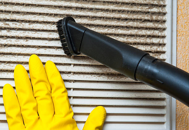 Best Affordable HVAC Duct Cleaning  in Dexter, MI